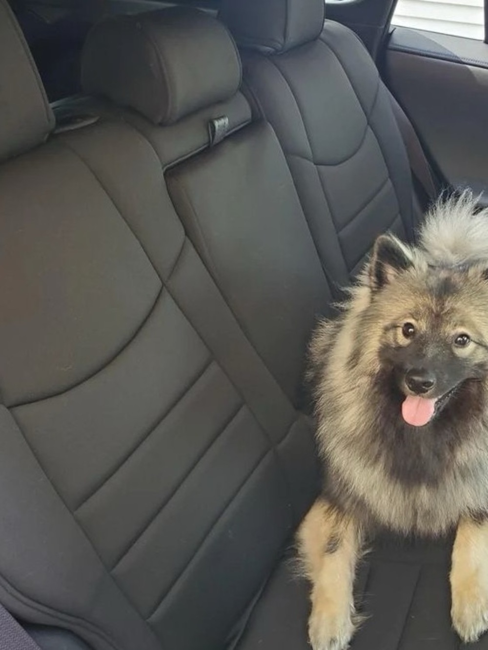 Subaru Seat Covers